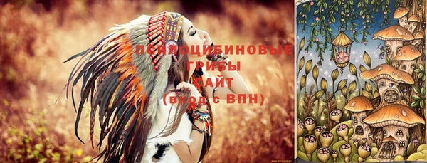 соль курить ск Нея