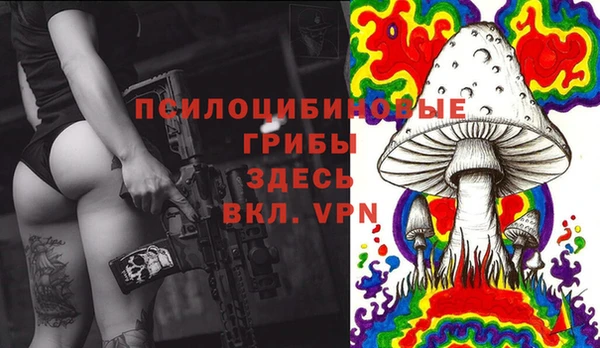 не бодяженный Нефтегорск