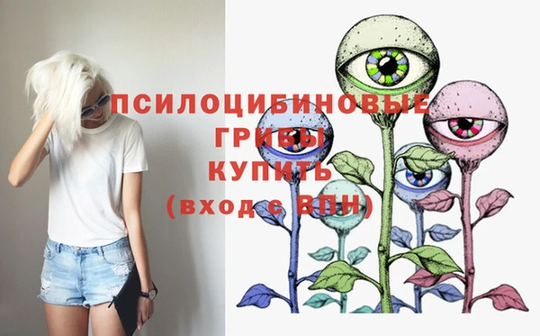 соль курить ск Нея